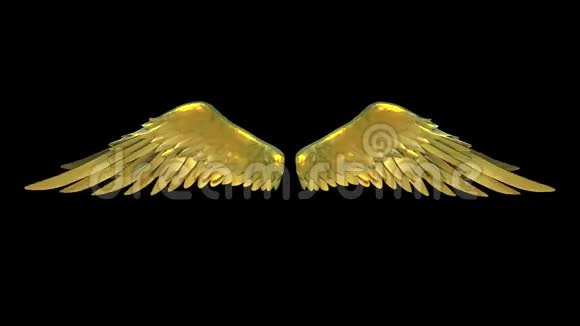 黄金翅膀阿尔法Matte三维动画渲染4K视频的预览图