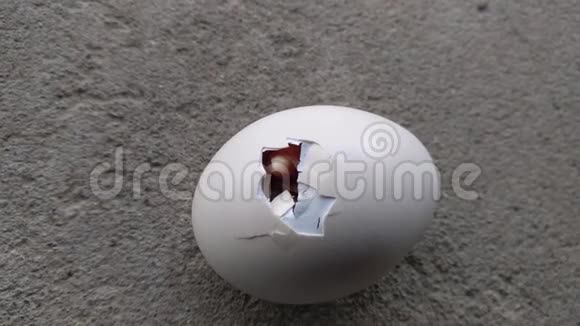 小雏鸟打破蛋壳进入这个世界视频的预览图