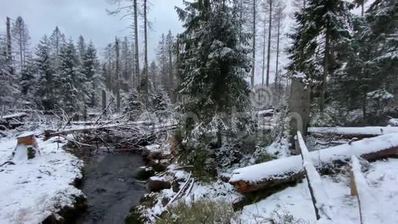冬季山脉有雪哈兹森林湖奥德泰奇景观视频的预览图