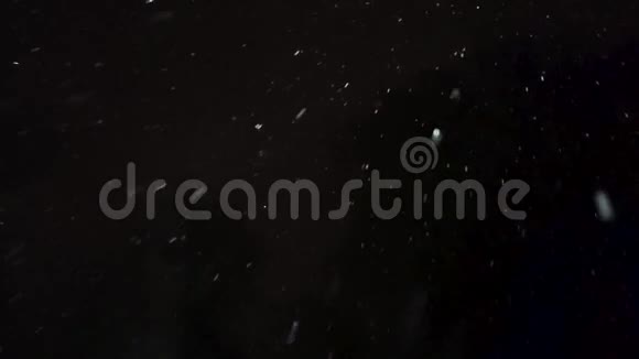 白色雪花飘落在黑色背景下视频的预览图