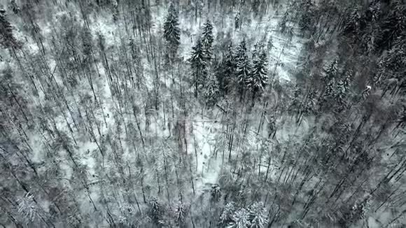 飞过冬天的森林和被木头包围的村庄视频的预览图