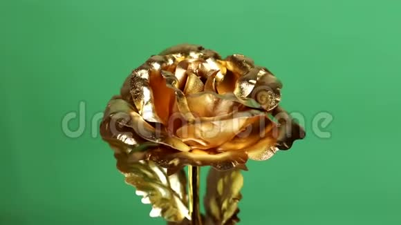 绿色背景上的金色金属装饰玫瑰视频的预览图