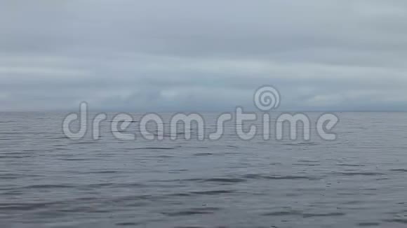 低低的云层笼罩着白色的海洋视频的预览图