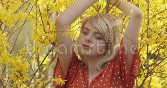 迷人的金发女孩在黄花枝间摆姿势的温柔肖像年轻貌美的女人视频的预览图