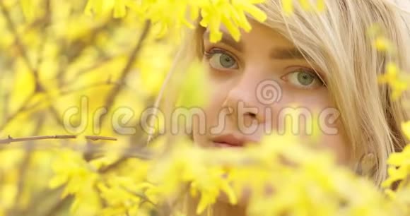 一位年轻迷人的女子一头金色的秀发在黄色花瓣的花树之间亲密的肖像可爱可爱视频的预览图
