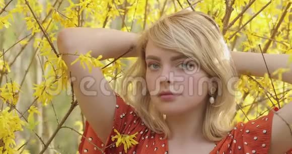 迷人的金发女孩在黄花枝间摆姿势的温柔肖像年轻貌美的女人视频的预览图