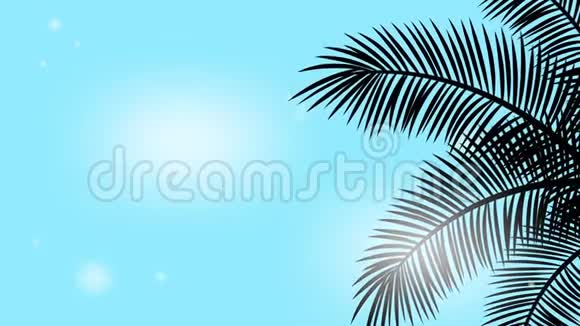 暑假背景与循环动画镜头的热带棕榈树的枝条蠕动在明亮的蓝天视频的预览图