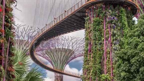 在新加坡海湾时代的花园里看到令人惊叹的超树视频的预览图