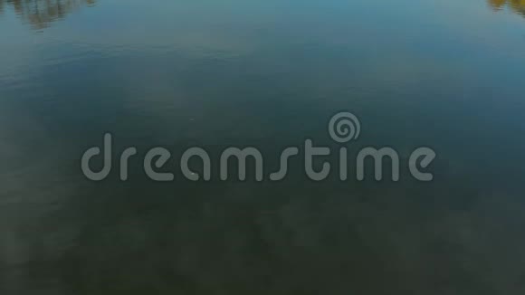 空中莫斯科地区的湖泊秋季景观视频的预览图