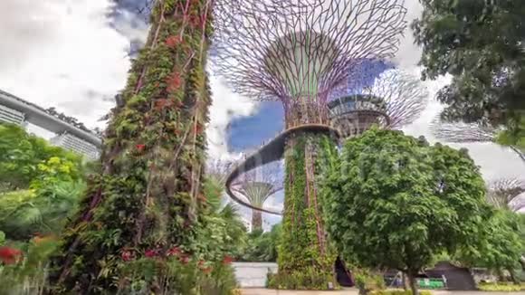 在新加坡的海湾时间推移超移的花园惊人的超树的未来派观点视频的预览图