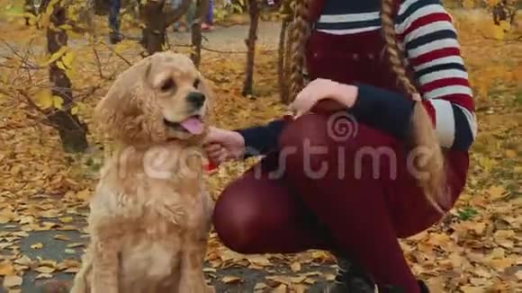 可爱的微笑女孩抚摸公园里的棕色狗视频的预览图