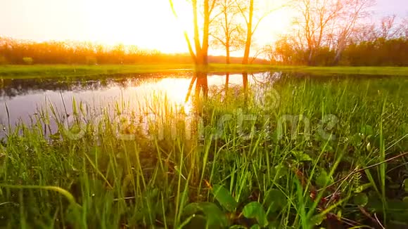 湖在林中黎明的背景下视频的预览图