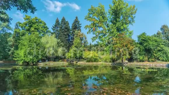 保加利亚索非亚附近的Vrana公园有一个落叶的小湖美丽的秋天时光流逝视频的预览图