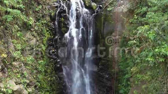 哥斯达黎加的瀑布视频的预览图