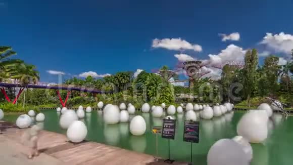 未来一起展览在蜻蜓湖和海滨广场花园由海湾时间推移超移视频的预览图