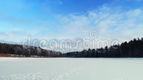 冰雪覆盖的冰湖背景上有一片松林晴天视频的预览图