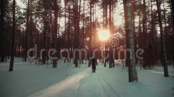 穿着暖和的冬衣的年轻人穿过冬雪林视频的预览图
