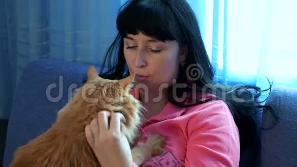 女孩抚摸一只红猫视频的预览图