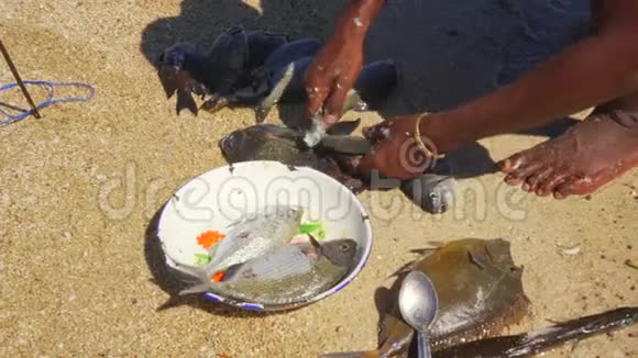 非洲渔民从海滩上刚捕获的海鱼身上取出鱼鳞用小刀清洗手上有细节视频的预览图