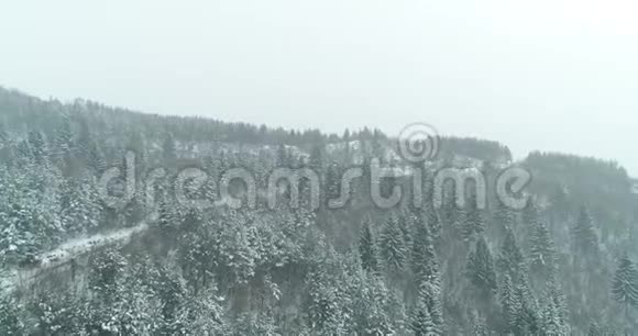 冬天在山上的雪道槽林视频的预览图