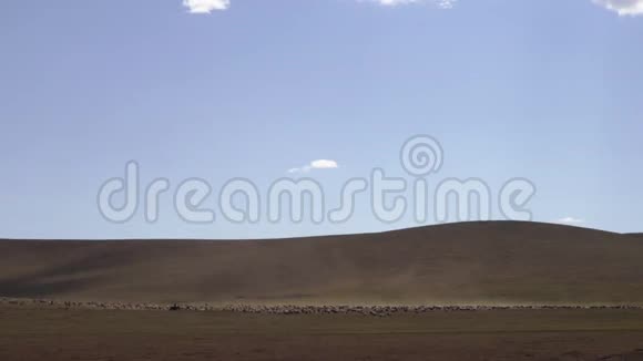 蒙古沙漠孤独的牧人骑着马围着家畜大草原视频的预览图