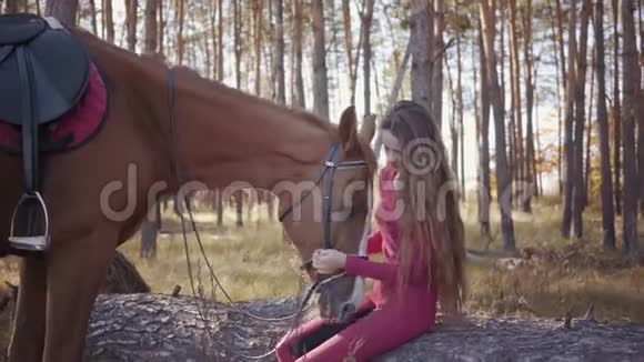 年轻的白人妇女坐在秋林中抚摸马脸的画像微笑的黑发马术运动员视频的预览图