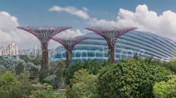 新加坡海湾花园的超级树林云林和花穹的鸟瞰图视频的预览图