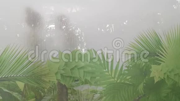 在室外玻璃上的湿桑拿叶子设计视频的预览图
