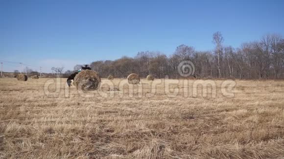 狗和主人玩从远处的干草堆上跳下来跑到前面去视频的预览图