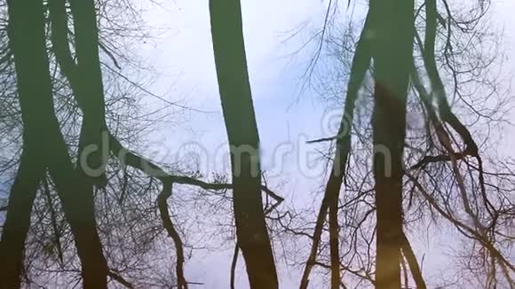 湖水中有云倒影的树木和天空视频的预览图
