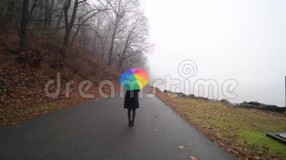 站在雾蒙蒙的街道上的女人带着一把五颜六色的雨伞视频的预览图