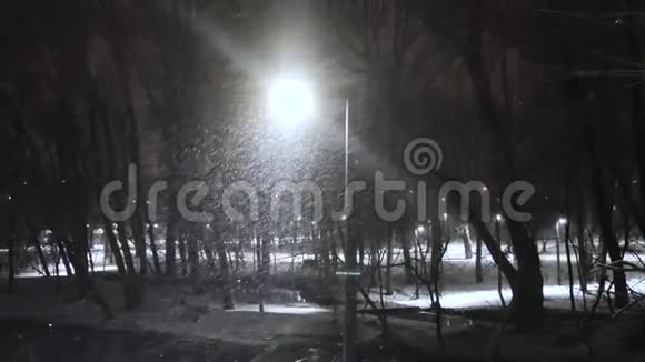 白色的雪花飘落的夜光轴视频的预览图