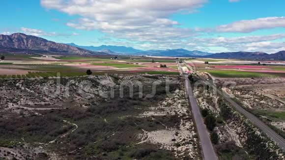西班牙穆尔西亚地区CiezaMiradorElHorno的桃花视频的预览图