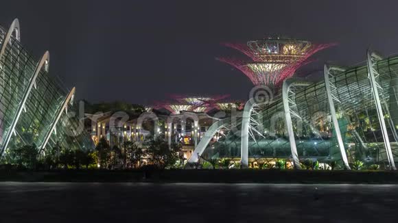 新加坡海湾花园的超级树林云林和花穹夜景视频的预览图