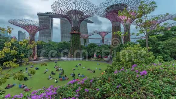 未来派的鸟瞰令人惊叹的照明花园在海湾白天到夜晚时间在新加坡视频的预览图