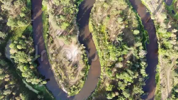 蜿蜒的河流穿过森林有一个S形弯曲从上面拍摄视频的预览图