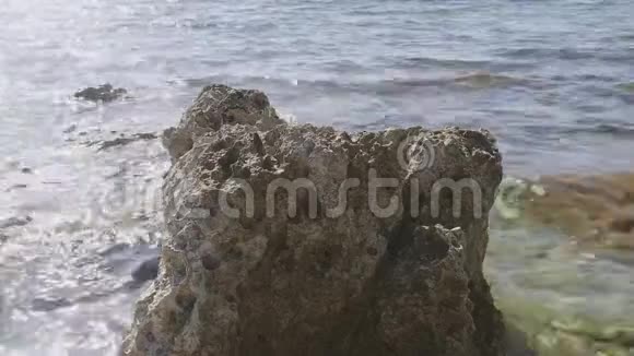 石滩上的海柔波视频的预览图