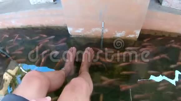 鱼在人的脚下游泳视频的预览图