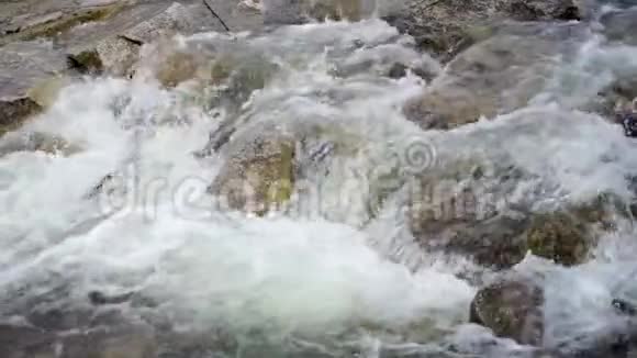 泉水中白浪和泡沫在泉水河的岩石上流动慢动作视频视频的预览图
