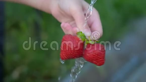 Washingstrawberries3女孩手在流水下洗草莓视频的预览图