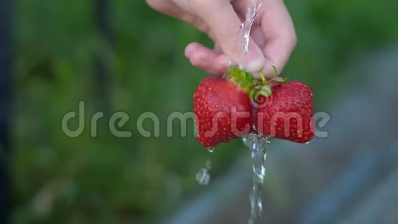 Washingstrawberries2女孩手在流水下洗草莓视频的预览图