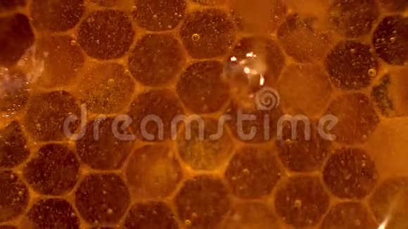 蜂蜜特写蜂蜜特写琥珀甜蜜蜂窝里透明的蜂蜜顺着蜂窝流下来视频的预览图
