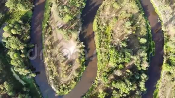 蜿蜒的河流穿过森林有一个S形弯曲从上面射成一个圆圈视频的预览图