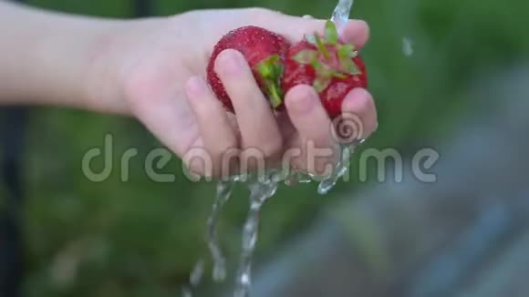 女孩手在流水下洗草莓视频的预览图