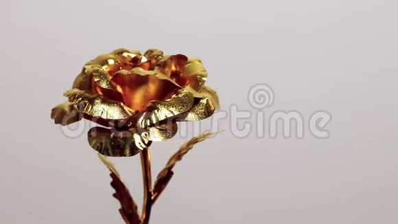 白色背景的金色金属装饰玫瑰视频的预览图
