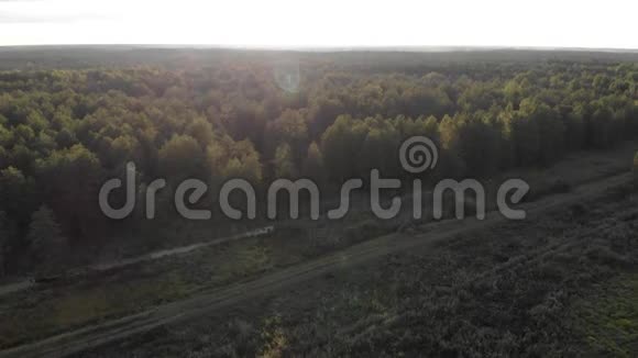 在森林边缘长满青草的农田上起飞日落时分一架无人机射中视频的预览图