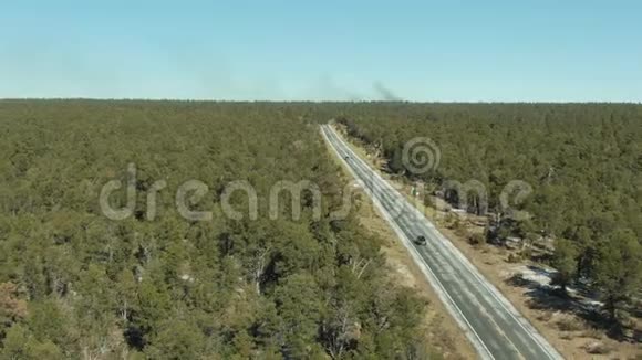 绿色凯巴布国家森林和汽车路美国亚利桑那州鸟瞰图视频的预览图
