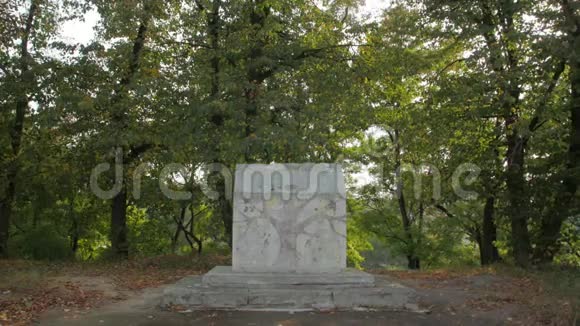 森林中的古石碑视频的预览图