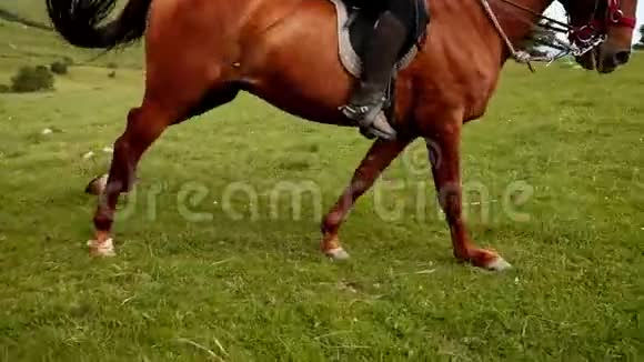 专业骑马慢动作马腿快速移动视频的预览图