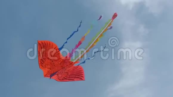 风筝在天空中飞翔视频的预览图